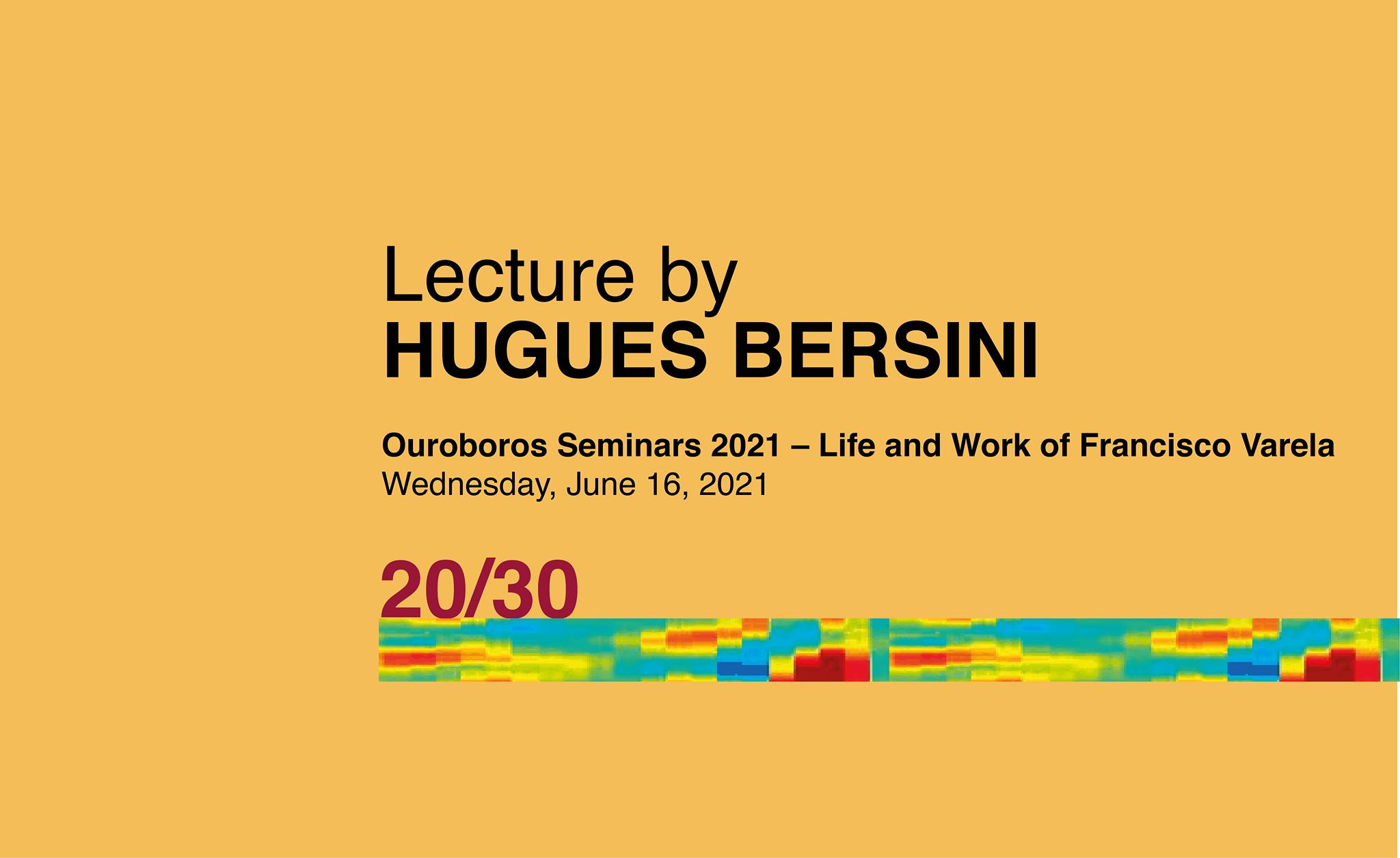 Lecture by Hugues Bersini